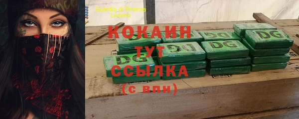 соль ск Арсеньев