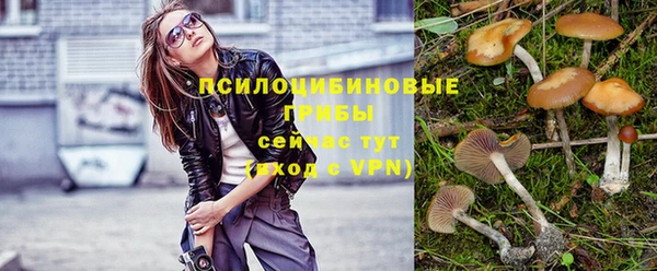 ALPHA PVP Армянск