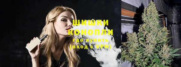 соль ск Арсеньев