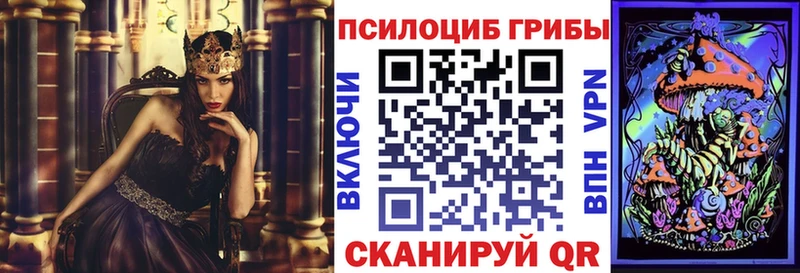 наркотики  Таруса  Псилоцибиновые грибы GOLDEN TEACHER 